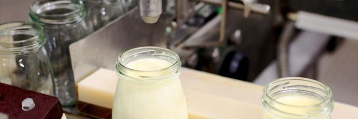 Пластичные смазки EFELE помогают предприятиям молочной промышленности