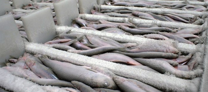 Аэрозольные материалы EFELE – отличное решение для рыбоперерабатывающих производств